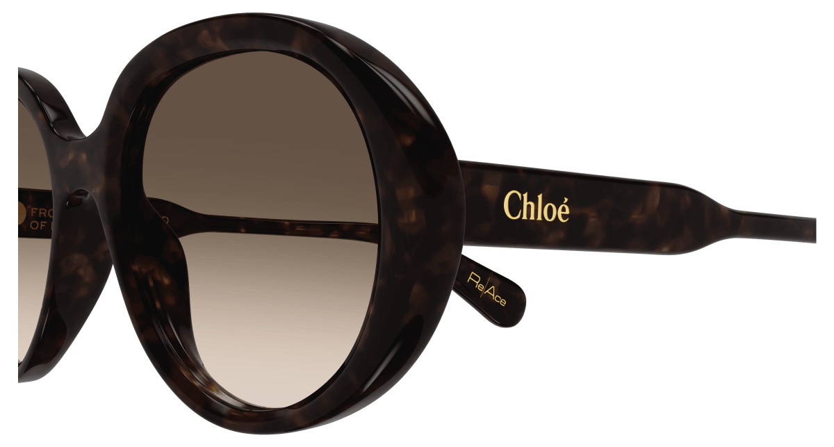 Chloé CH0221S Havana/Brown 889652480985
