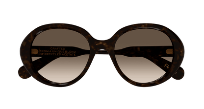 Chloé CH0221S Havana/Brown 889652480985