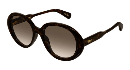 Chloé CH0221S Havana/Brown 889652480985