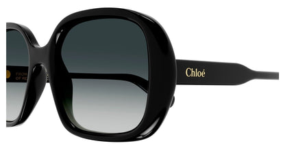 Chloe CH0222S Sunglasses 889652481029