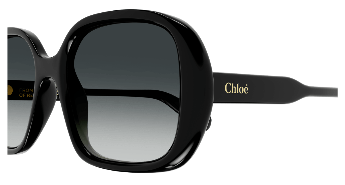 Chloé CH0222S Black/Grey 889652481029
