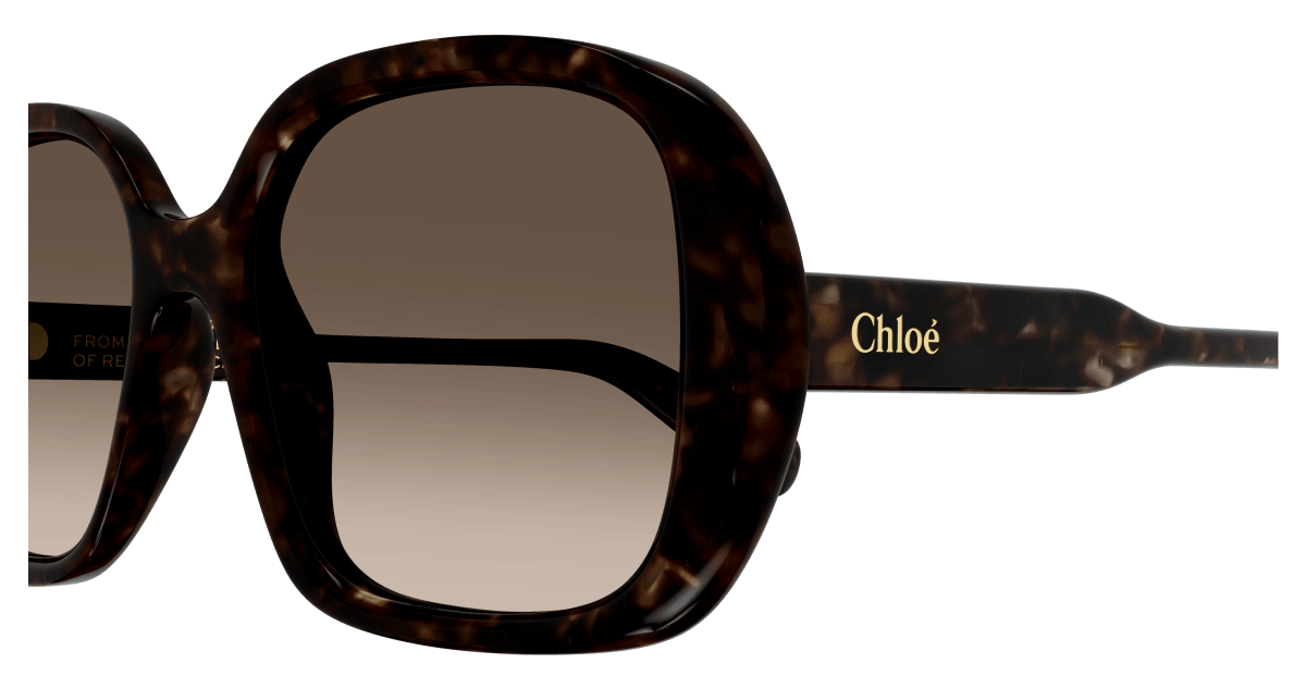 Chloé CH0222S Havana/Brown 889652481036