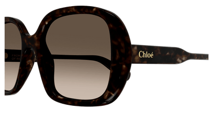 Chloé CH0222S Havana/Brown 889652481036