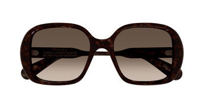 Chloé CH0222S Havana/Brown 889652481036