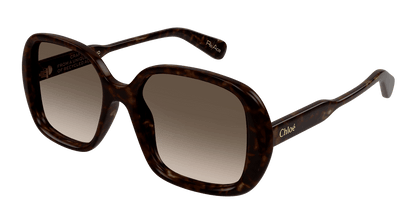 Chloé CH0222S Havana/Brown 889652481036