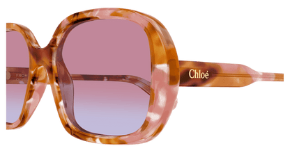 Chloé CH0222S Havana/Red 889652600093