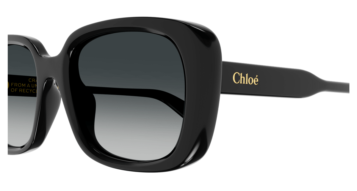 Chloé CH0225SK Black/Grey 889652481173