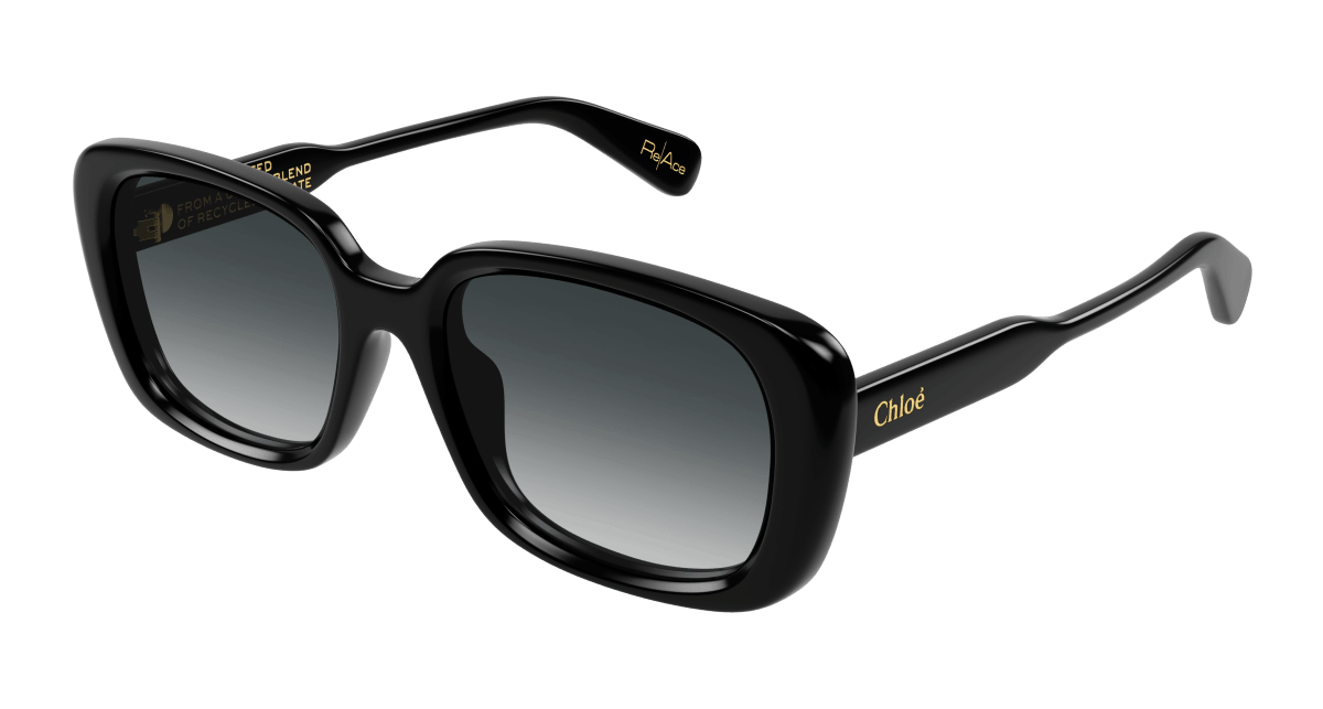 Chloé CH0225SK Black/Grey 889652481173