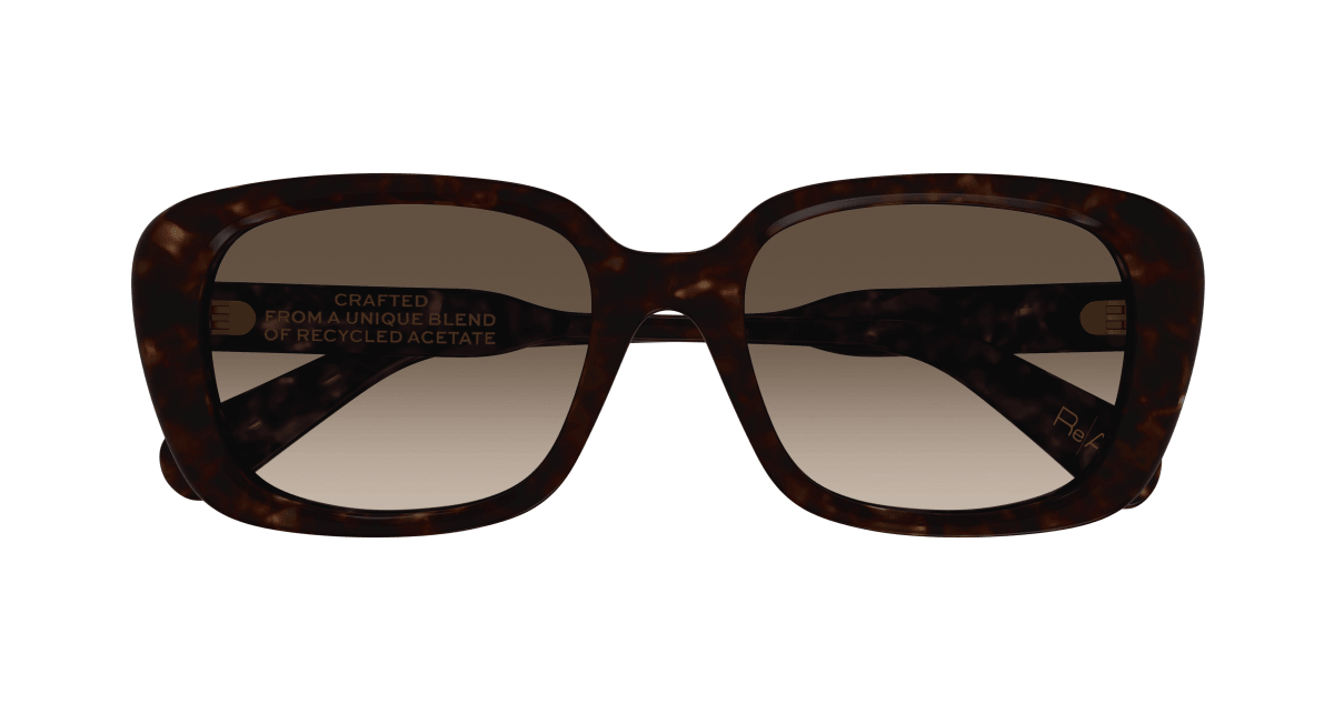 Chloé CH0225SK Havana/Brown 889652481180