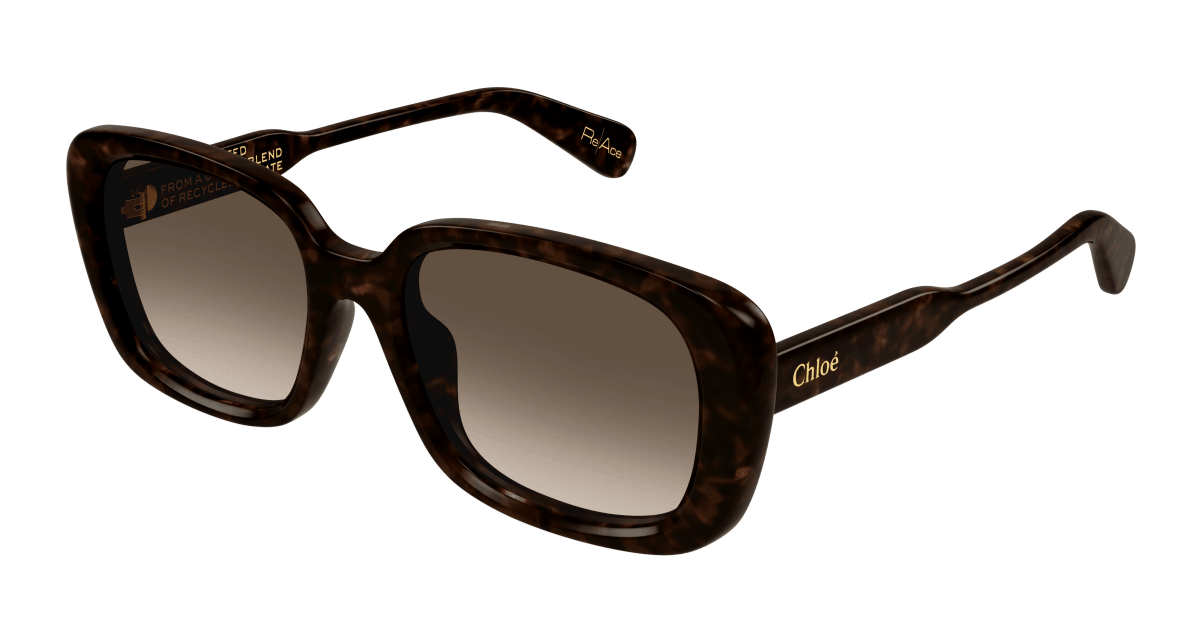 Chloé CH0225SK Havana/Brown 889652481180