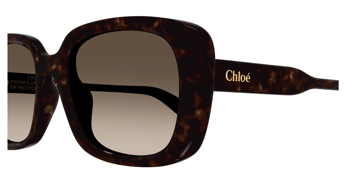 Chloé CH0225SK Havana/Brown 889652481180