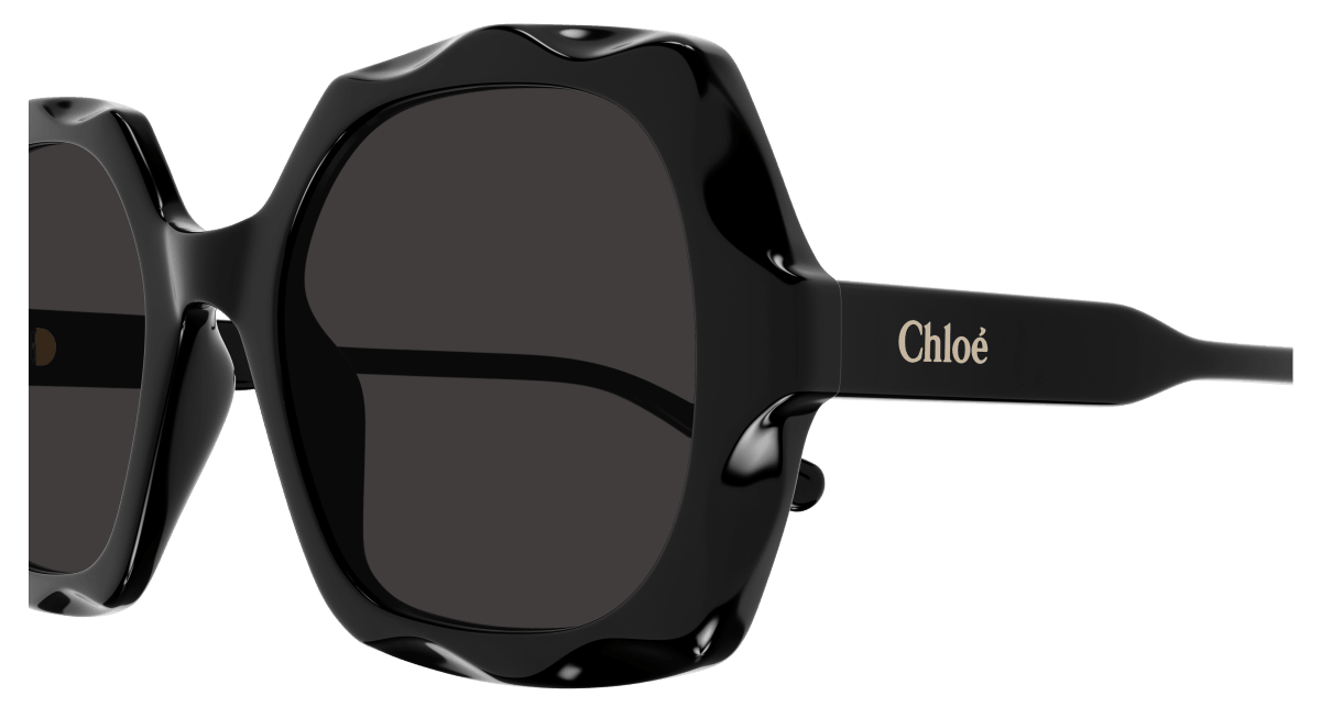 Chloé CH0226S Black/Grey 889652514130
