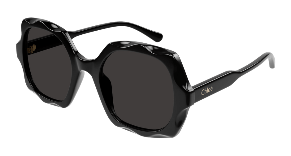 Chloé CH0226S Black/Grey 889652514130
