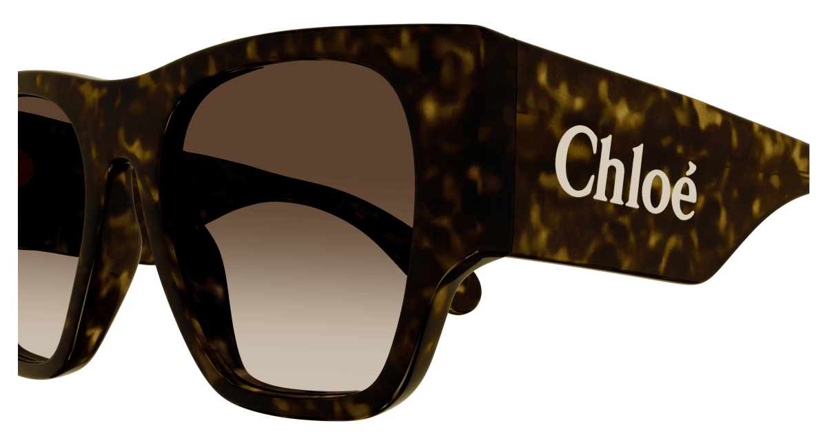 Chloé CH0233S Havana/Brown 889652482750