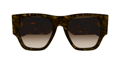 Chloé CH0233S Havana/Brown 889652482750