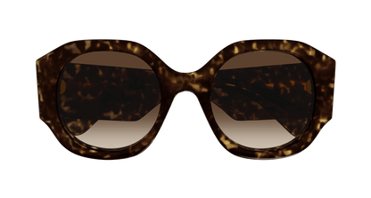 Chloé CH0234S Havana/Brown 889652482828