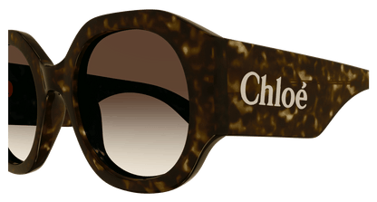 Chloé CH0234S Havana/Brown 889652482828