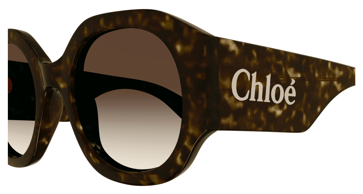 Chloé CH0234S Havana/Brown 889652482828