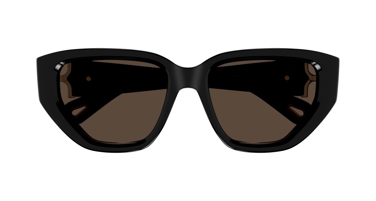 Chloe CH0235S Sunglasses 889652482880