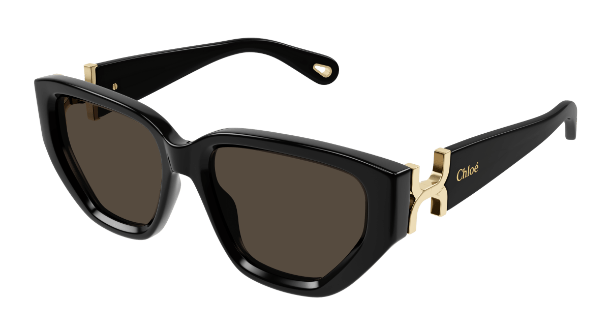 Chloé CH0235S Black/Brown 889652482880
