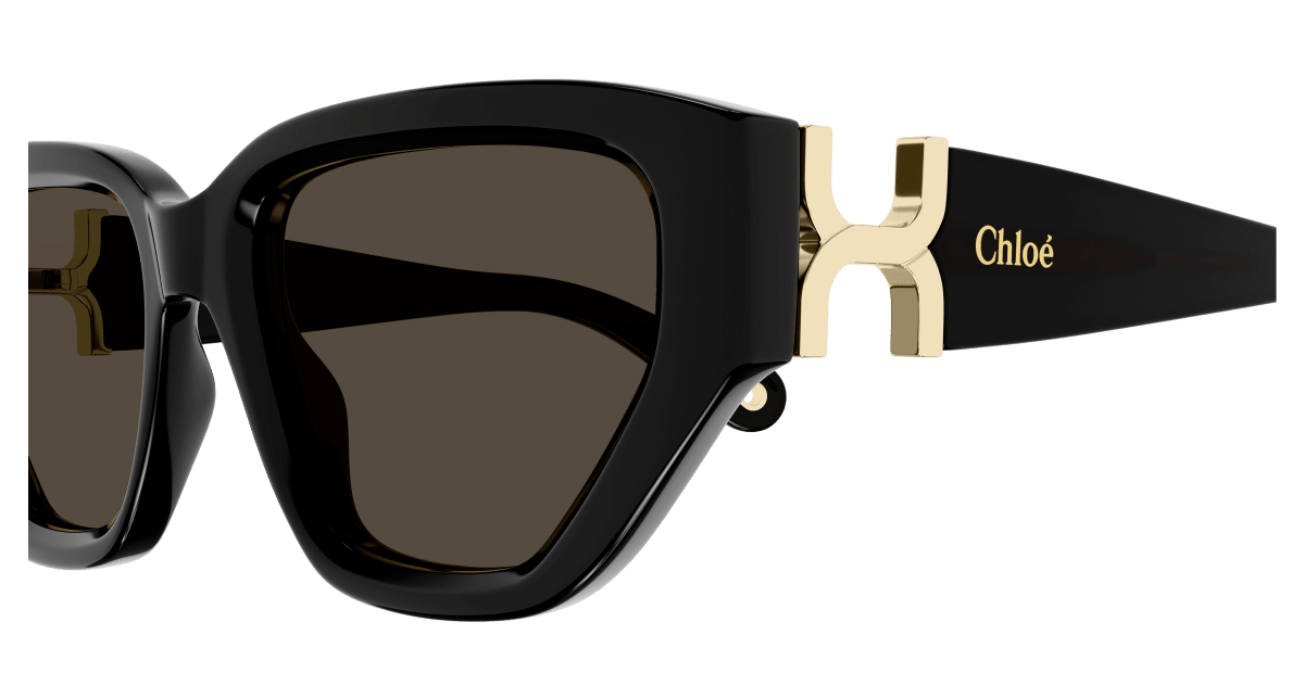 Chloé CH0235S Black/Brown 889652482880