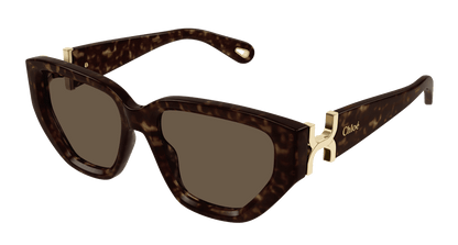 Chloé CH0235S Havana/Brown 889652482897