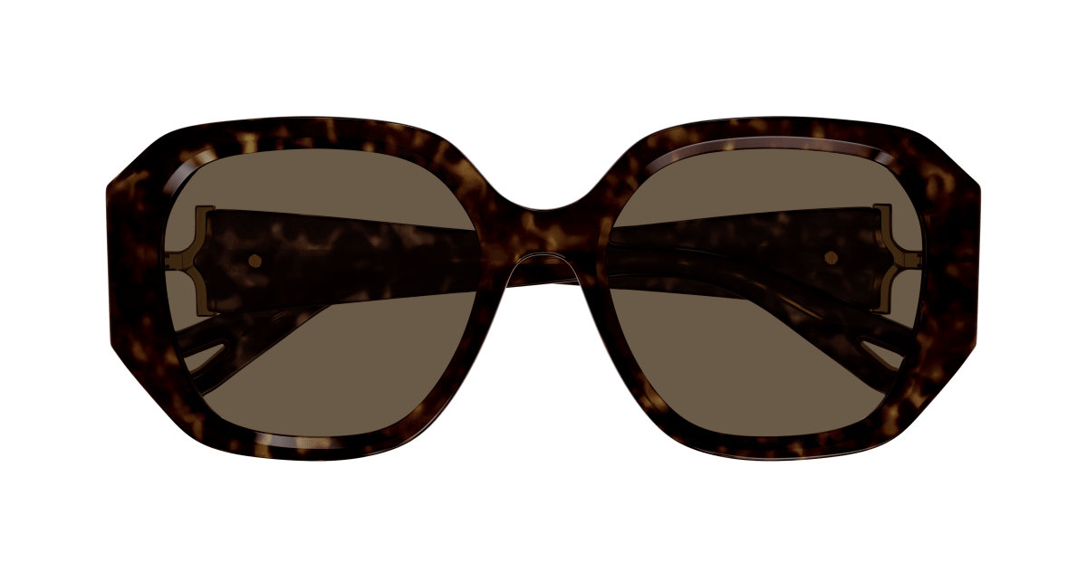 Chloe CH0236S Sunglasses 889652482934