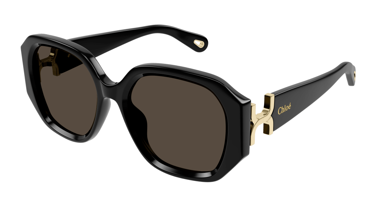 Chloé CH0236S Black/Brown 889652482927