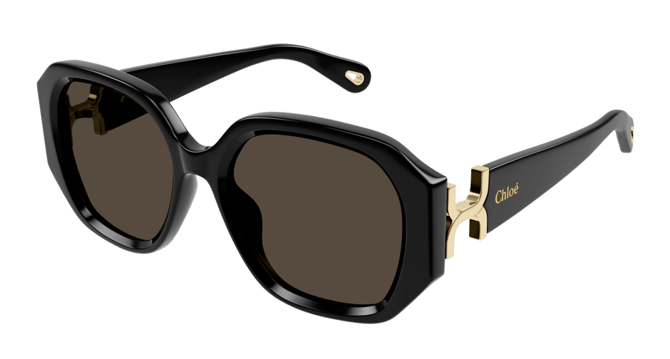 Chloé CH0236S Black/Brown 889652482927