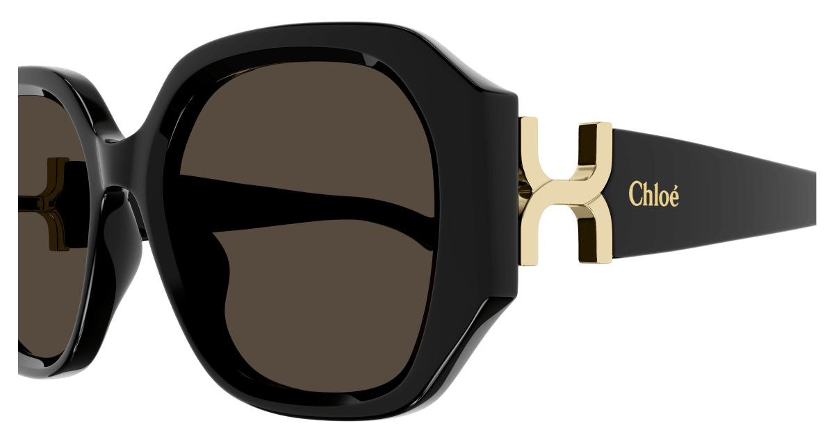 Chloé CH0236S Black/Brown 889652482927