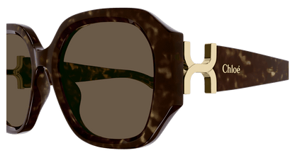 Chloé CH0236S Havana/Brown 889652482934