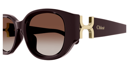 Chloé CH0237SK Burgundy/Orange 889652482989