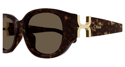 Chloé CH0237SK Havana/Brown 889652482972