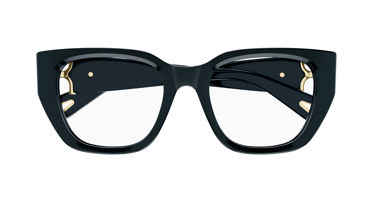 Chloe CH0238O Eyeglasses 889652483306