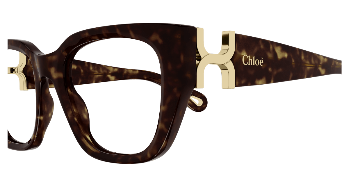Chloé CH0238O Havana 889652483290