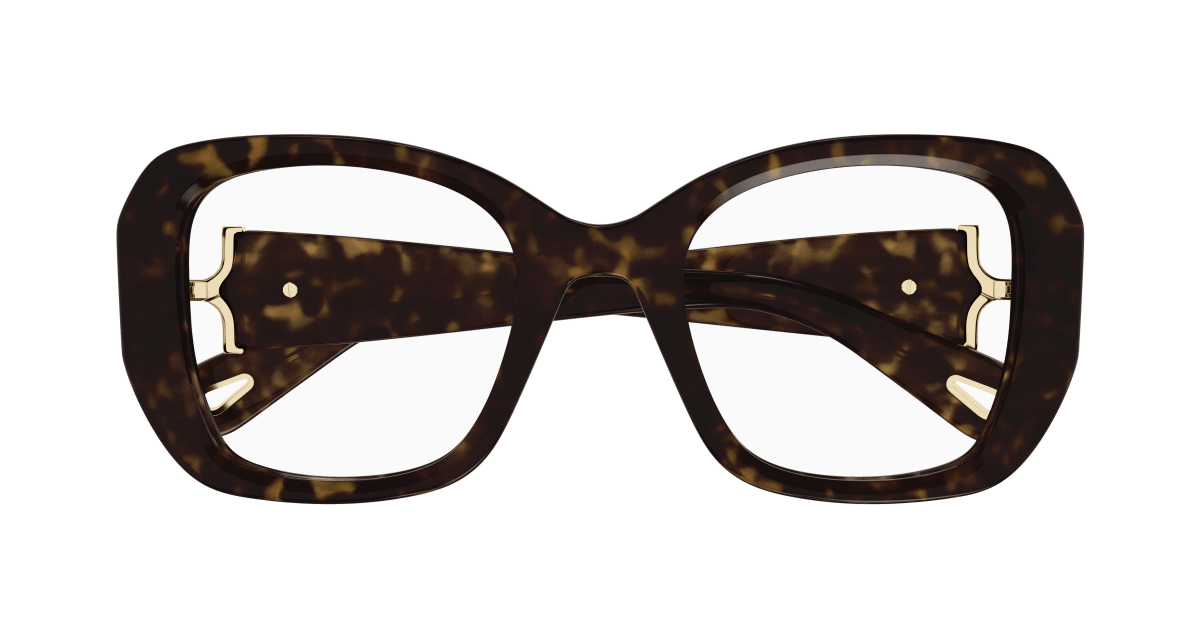 Chloé CH0239O Havana 889652483337