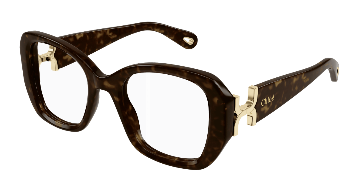 Chloé CH0239O Havana 889652483337
