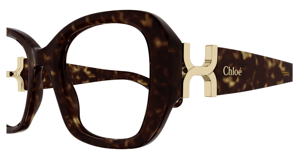 Chloé CH0239O Havana 889652483337