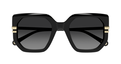 Chloe CH0240S Sunglasses 889652483009