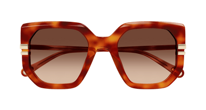 Chloe CH0240S Sunglasses 889652601489