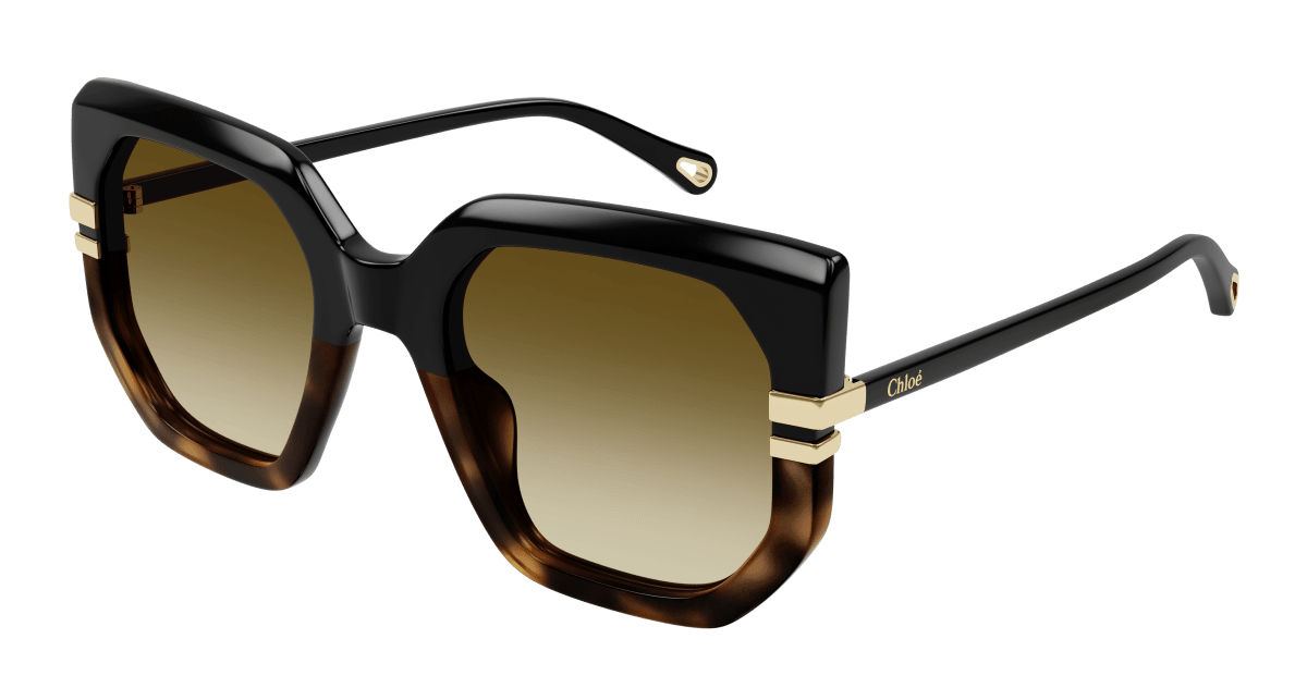 Chloé CH0240S Black/Brown, 53mm 889652483023