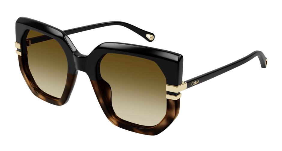 Chloé CH0240S Black/Brown, 53mm 889652483023