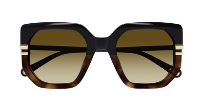 Chloé CH0240S Black/Brown, 53mm 889652483023