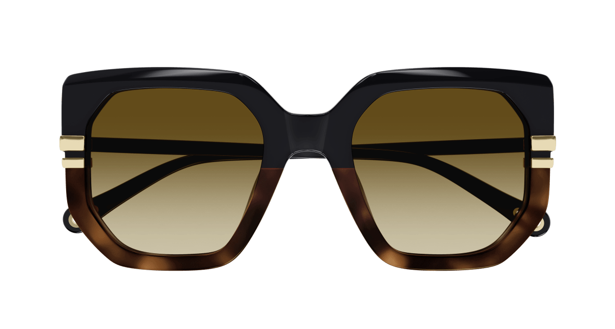Chloé CH0240S Black/Brown, 53mm 889652483023