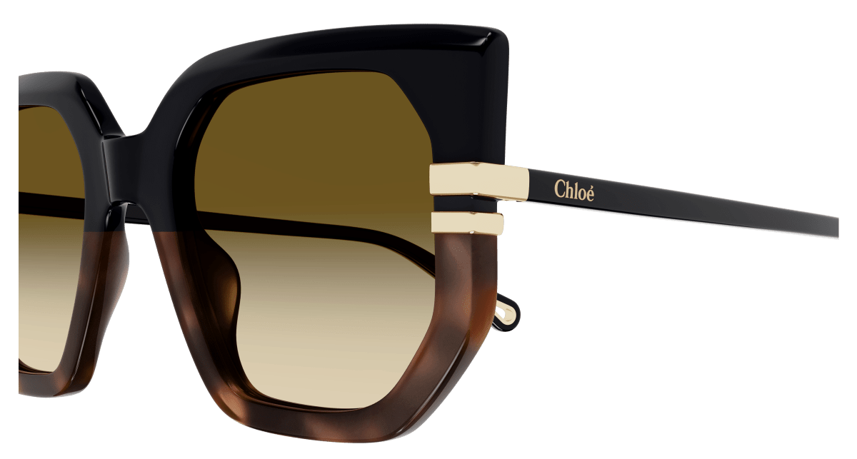Chloé CH0240S Black/Brown, 53mm 889652483023