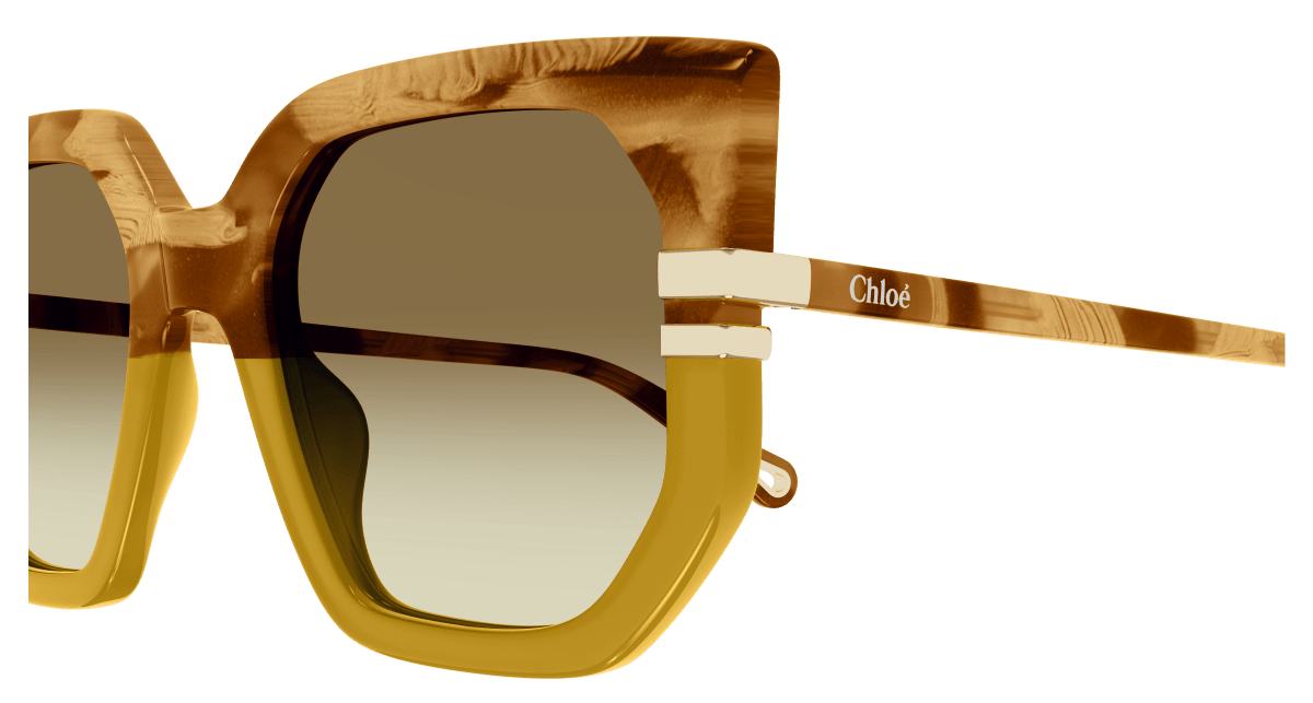Chloé CH0240S Brown, 53mm 889652483030