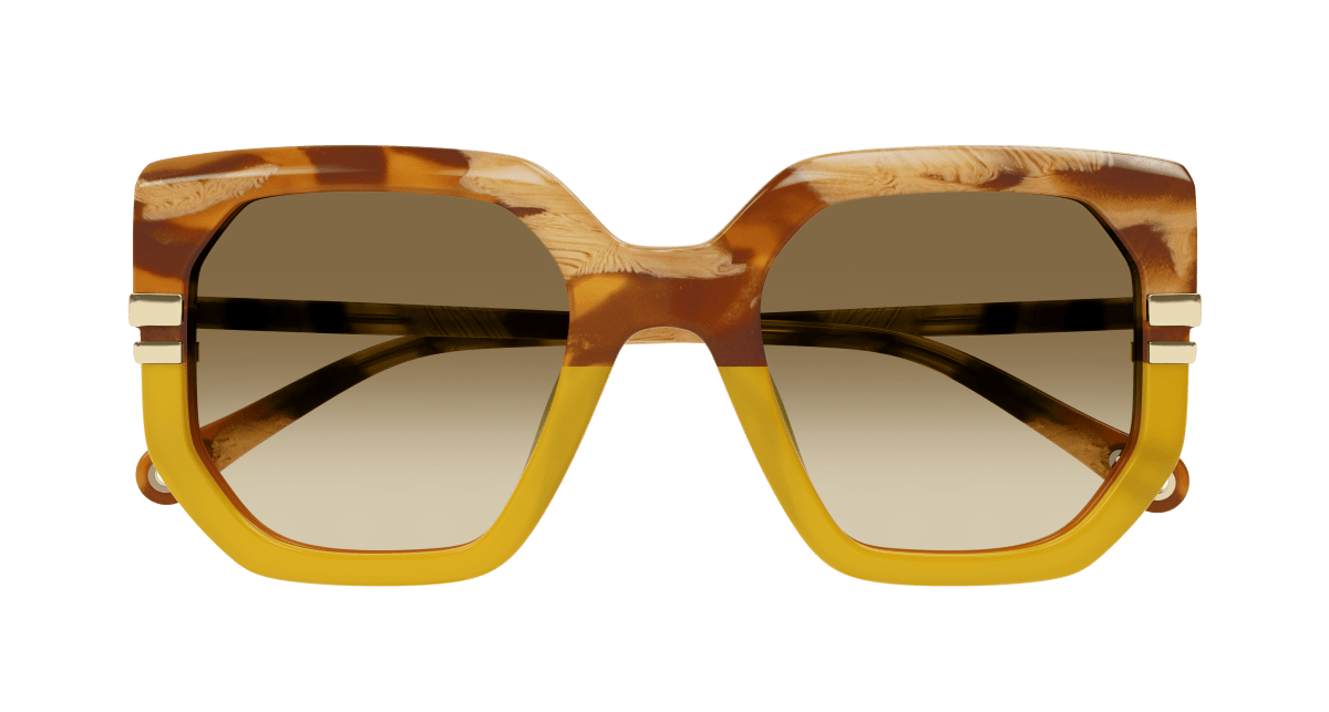 Chloé CH0240S Brown, 53mm 889652483030