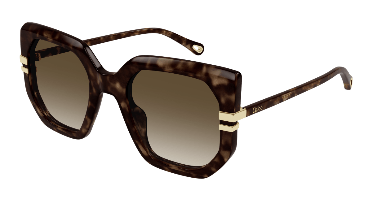 Chloé CH0240S Havana/Brown, 53mm 889652483016