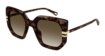Chloé CH0240S Havana/Brown, 53mm 889652483016