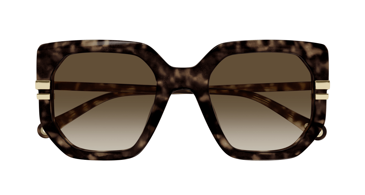 Chloé CH0240S Havana/Brown, 53mm 889652483016